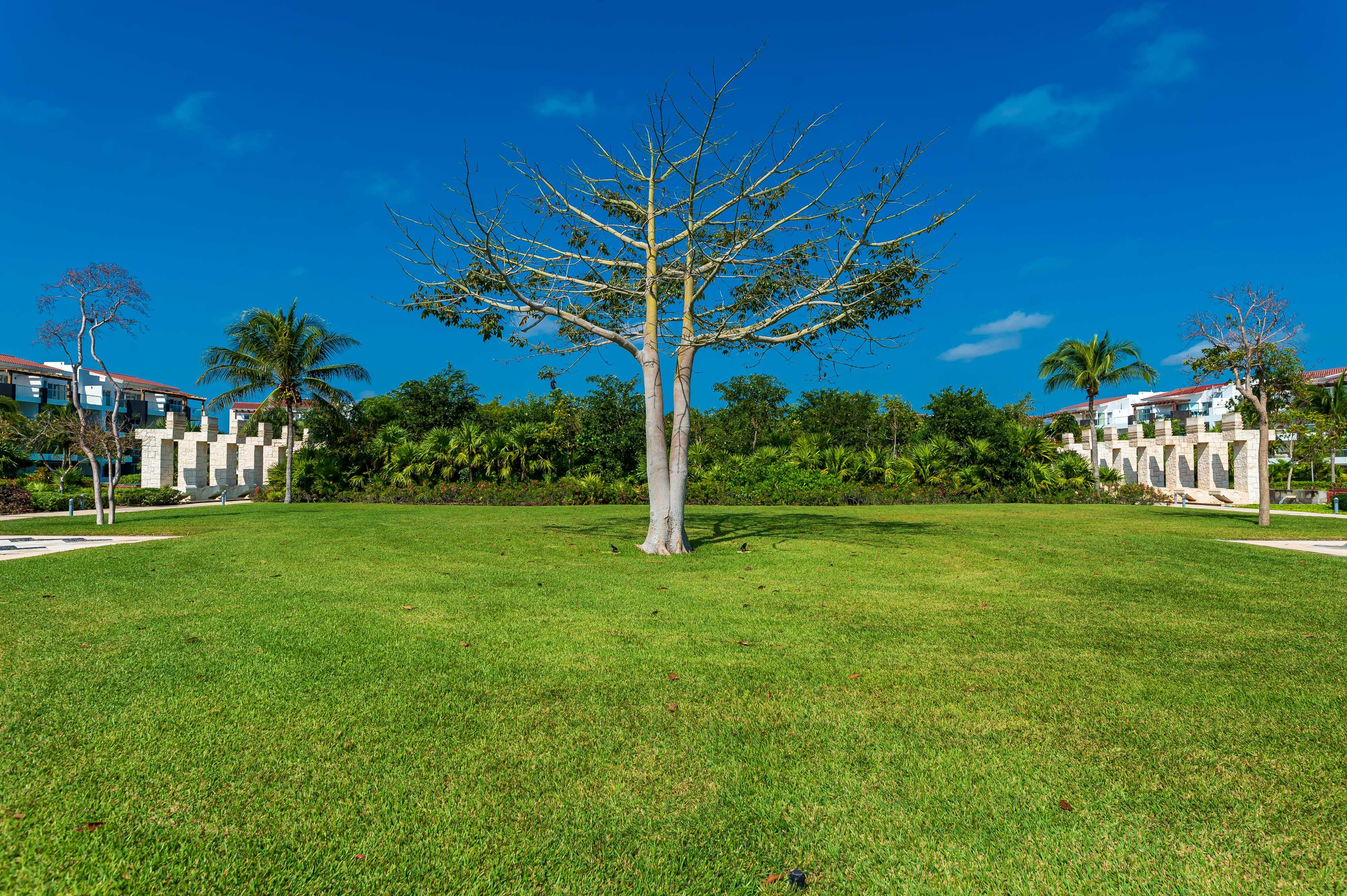 Mareazul Beach Front Resort Playa Del Carmen Exteriör bild